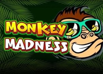 monkey madness макс казино